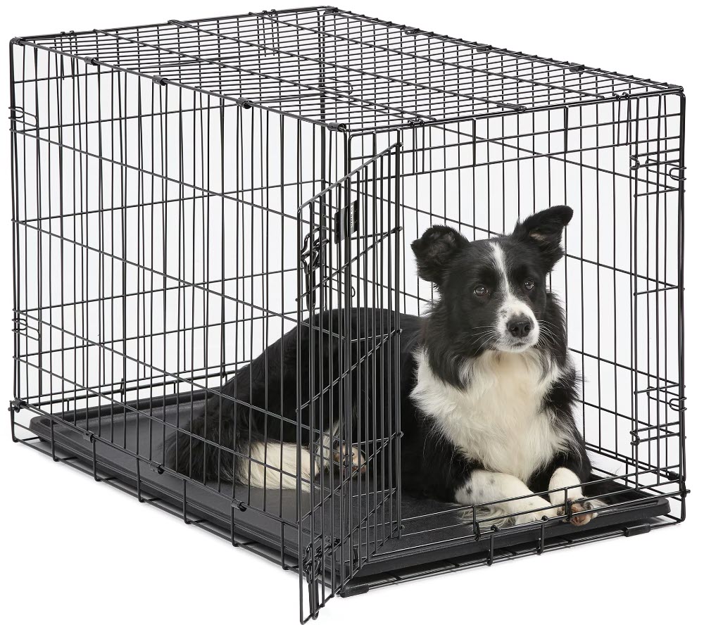 10 Best Dog Cages
