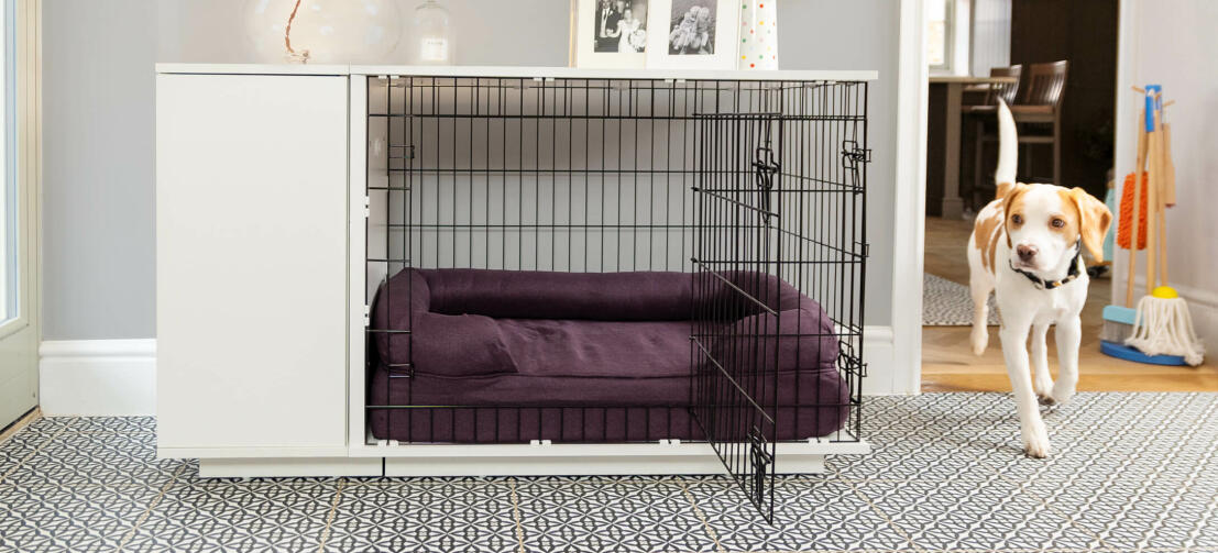 10 Best Luxury Dog Cages