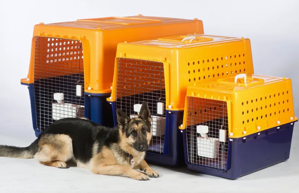 10 Best Travel Dog Cages